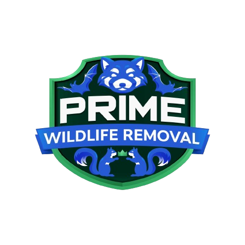 Critter Wildlife